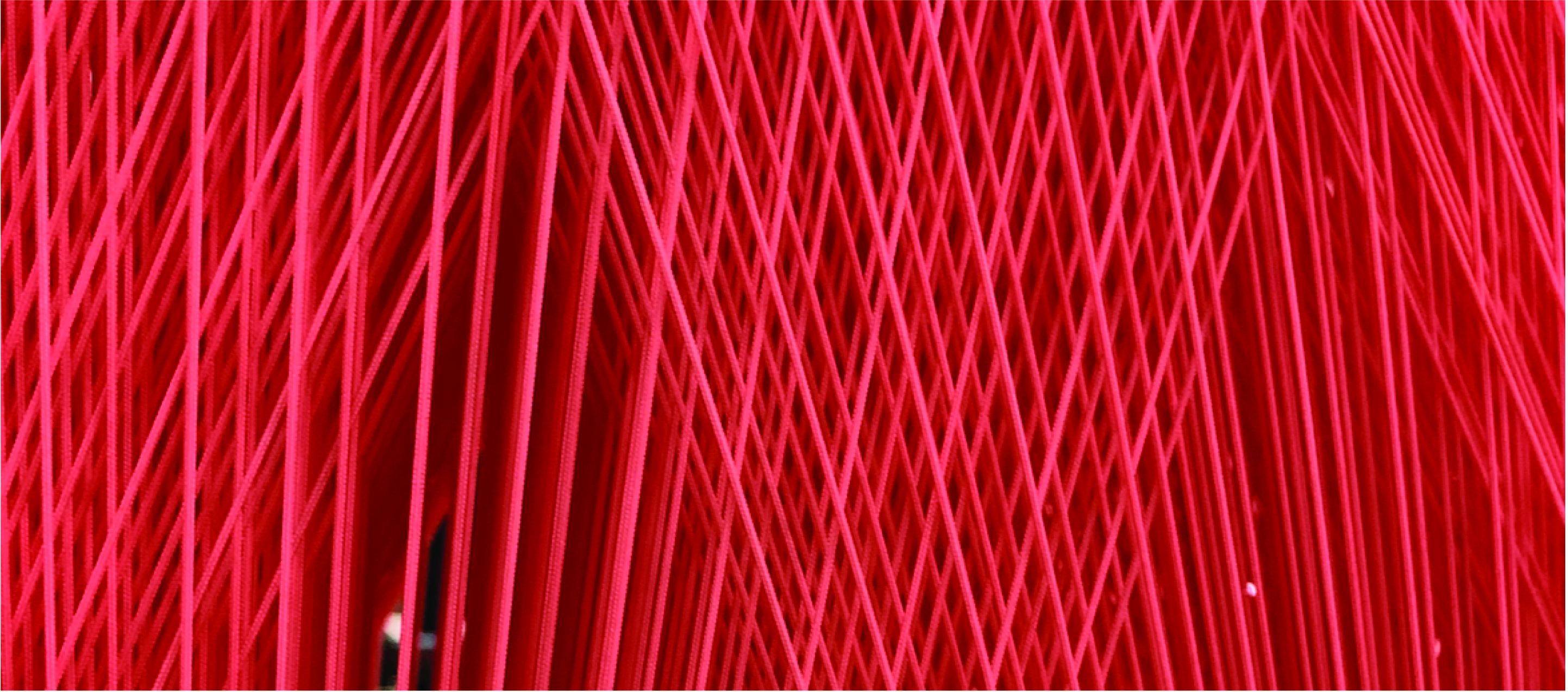 Raw Materials 5
