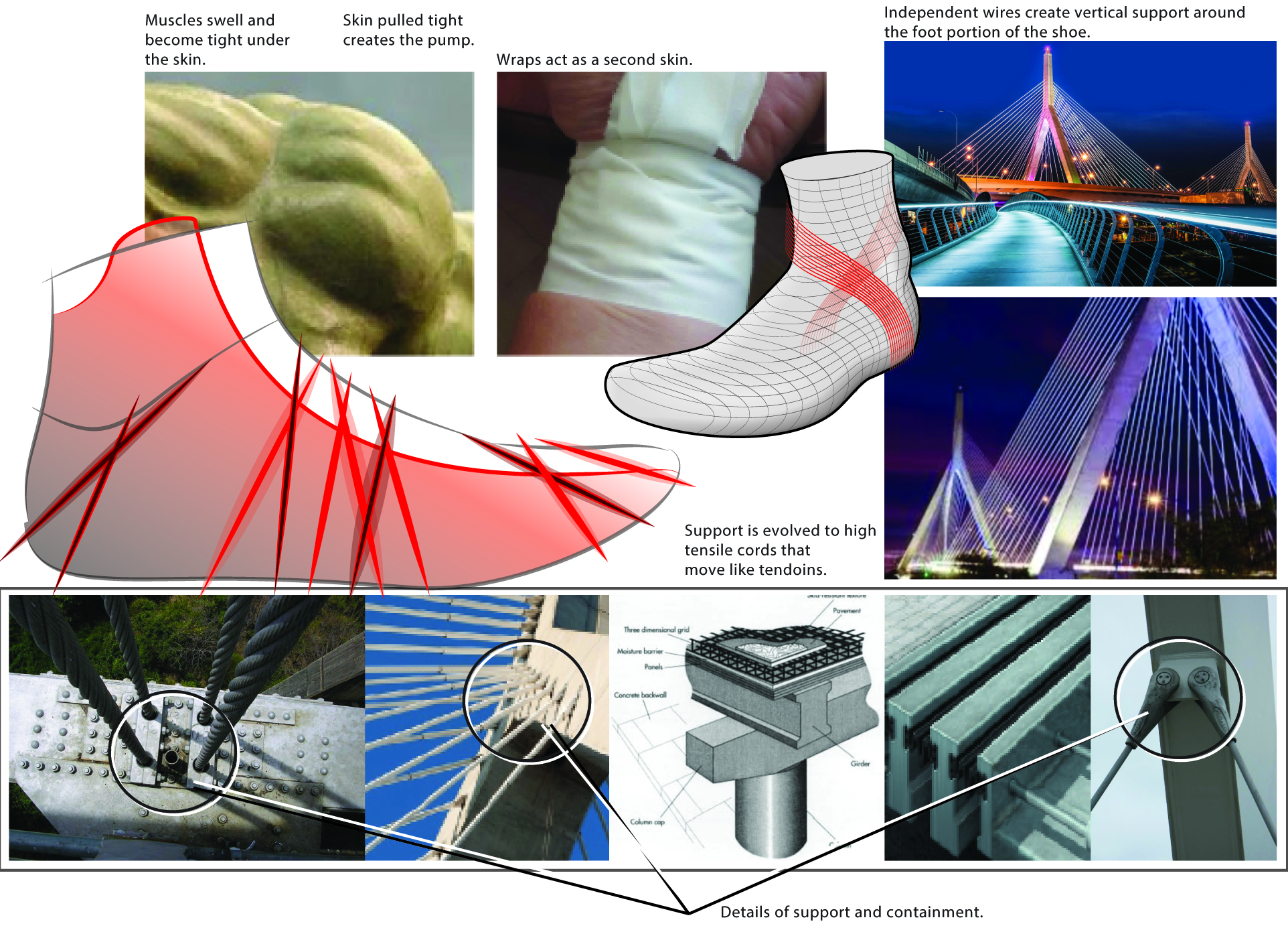Diagram illustrating a foot support system using wraps, vertical wires, and high-tensile support cords